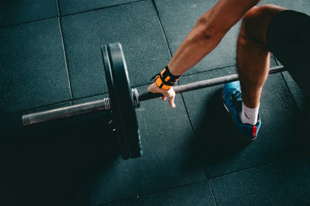 Gym & fitness